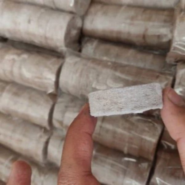 Coco Peat Discs