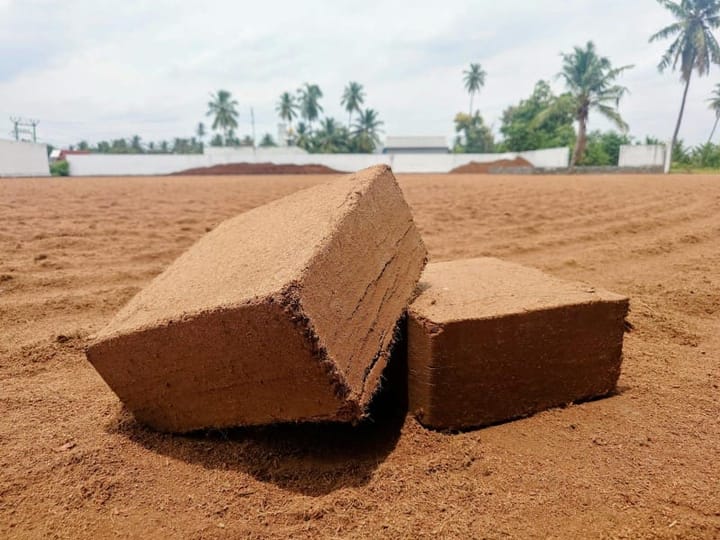 Coco Peat: Disc vs Block vs Loose, When to Buy Which