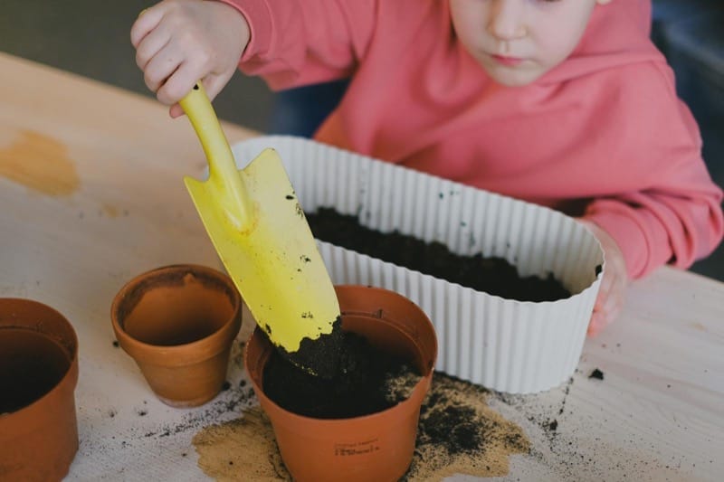 Microgreens for Kids: A 7-Day Plant Project for Any Age